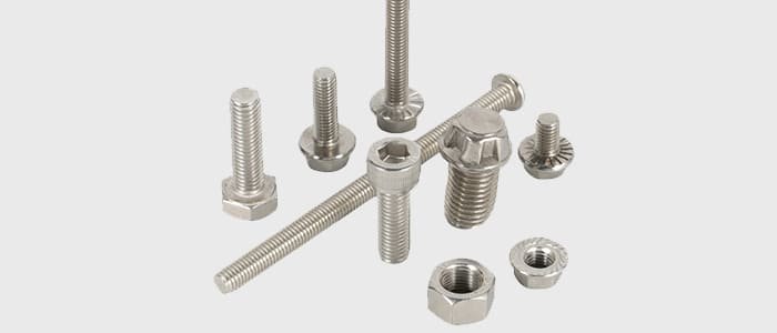 SS bolt