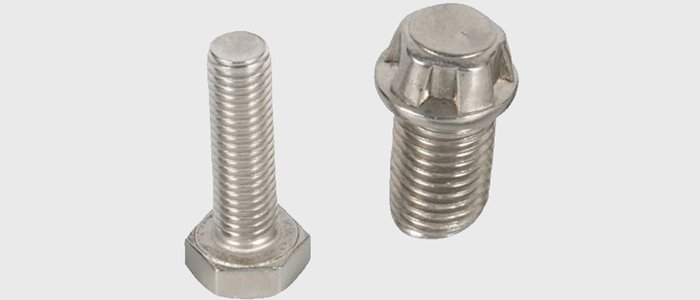 Titanium & Titanium Alloy